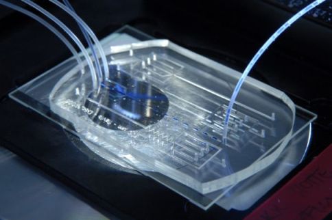 Puce microfluidique @Biotray